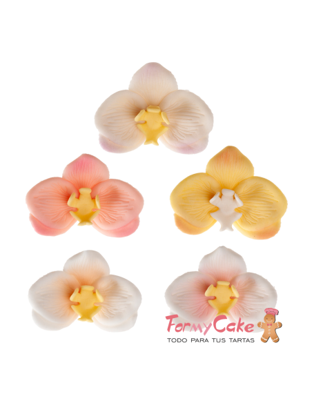 Set 6 Orquídeas de Azúcar 8 CM - Colores Surtidos - Marca Dekora