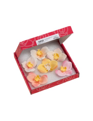 Set 6 Orquídeas de Azúcar 8 CM - Colores...