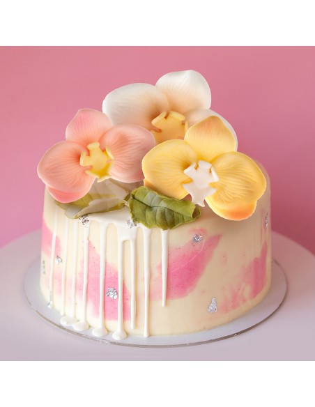 Set 6 Orquídeas de Azúcar 8 CM - Colores Surtidos - Marca Dekora