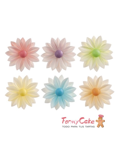 Margaritas De Oblea Colores 15uds Dekora