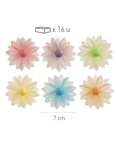 Margaritas De Oblea Colores 15uds Dekora