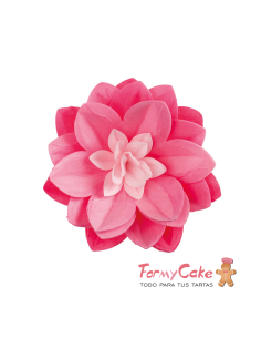 Water Lily De Oblea Color Rosa Dekora