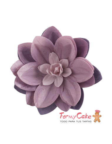 Water Lily De Oblea Color Lila Dekora