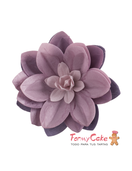 Water Lily De Oblea Color Lila Dekora