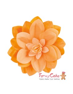 Water Lily De Oblea Color Naranja Dekora