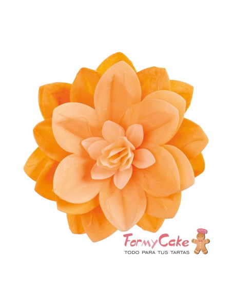 Water Lily De Oblea Color Naranja Dekora