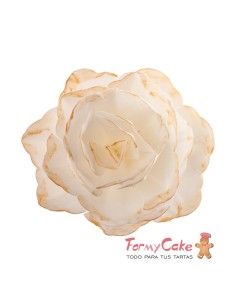 Rosa De Oblea Blanca Borde Dorado Dekora