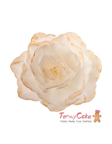 Rosa De Oblea Blanca Borde Dorado Dekora