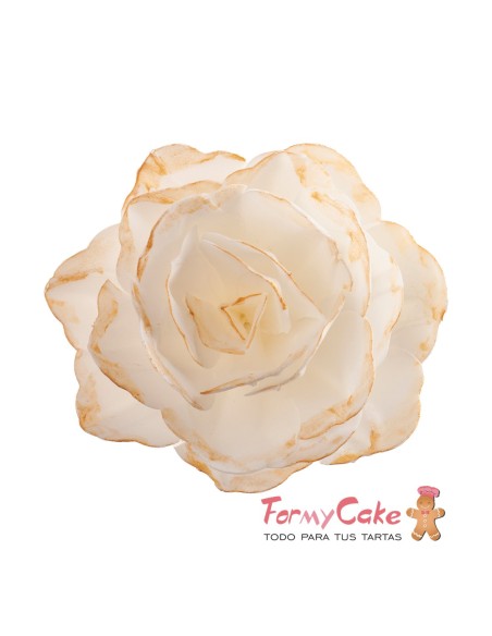 Rosa De Oblea Blanca Borde Dorado Dekora