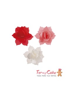 Mini Nenufares De Oblea Roja/Rosa 8uds Dekora