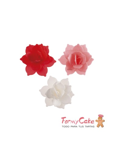 Mini Nenufares De Oblea Roja/Rosa 8uds Dekora