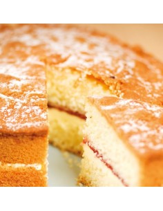 Mezcla Bizcocho 500gr Sin Gluten Funcakes 2