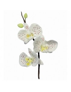 Cortante Orquidea PME 2