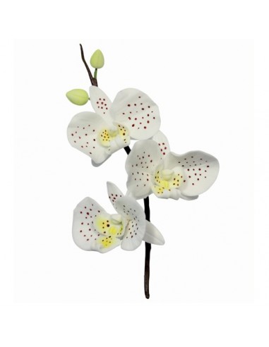 Cortante Orquidea PME