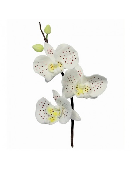 Cortante Orquidea PME