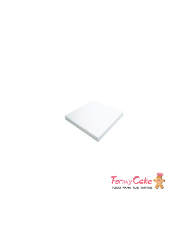 Dummie Cuadrado 10cm h:2cm